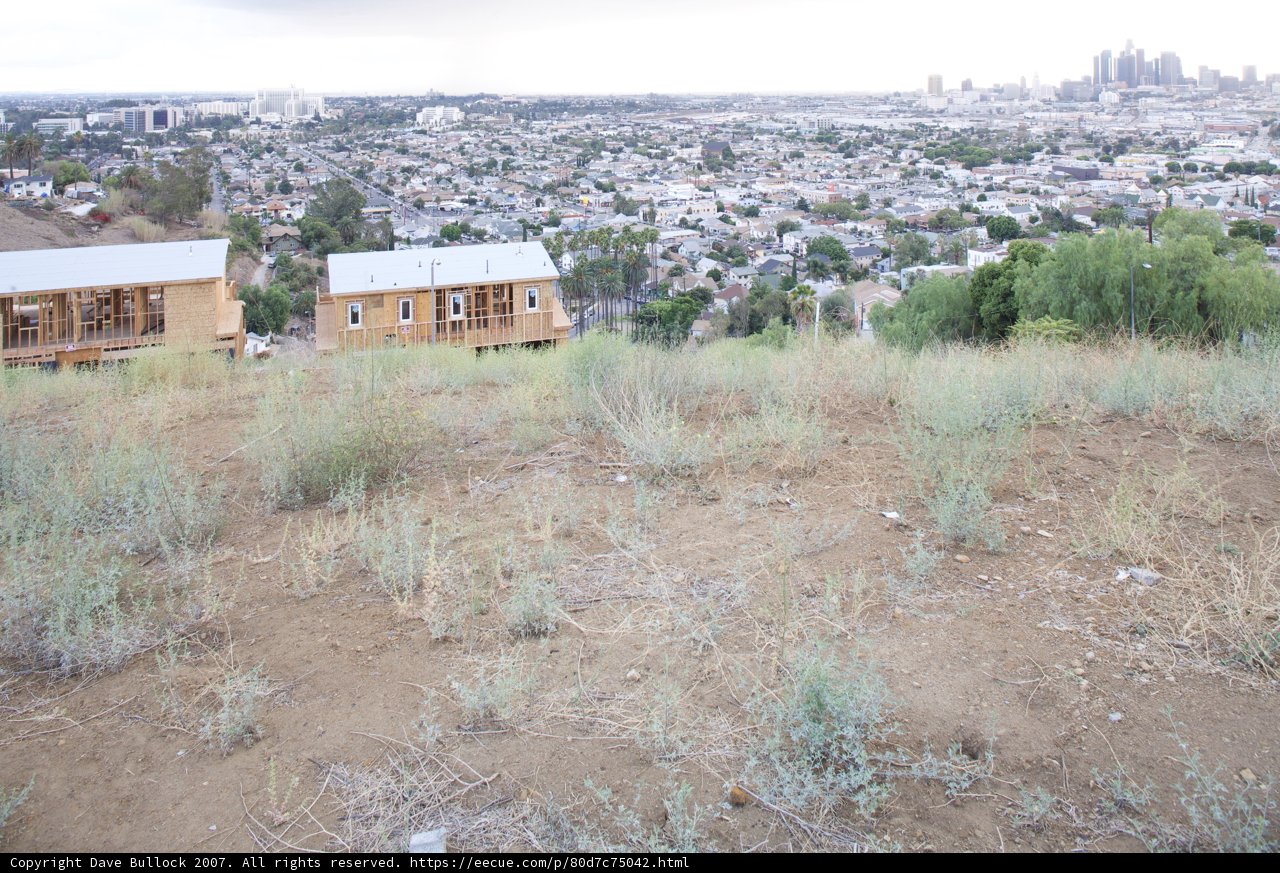 Cityscape from the Hilltop