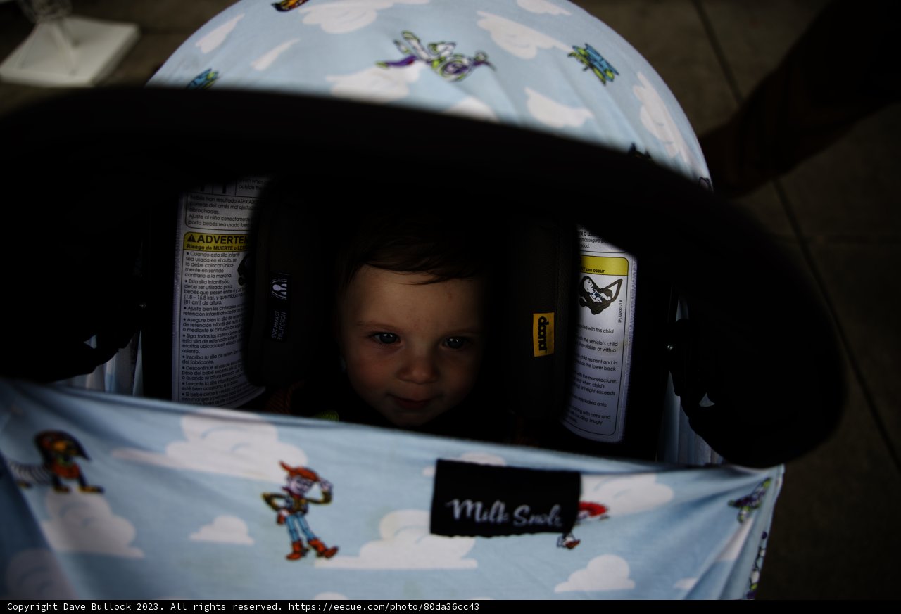 Wesley's Toy Story Adventure