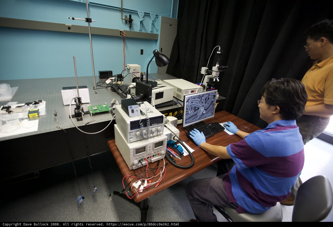 The Lab Technicians