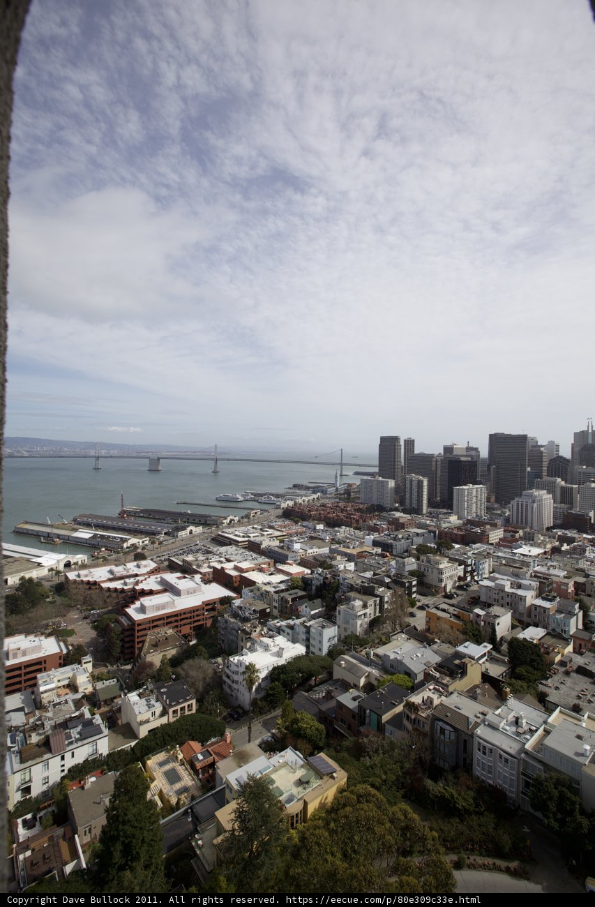 View from the Top of the Urban Metropolis