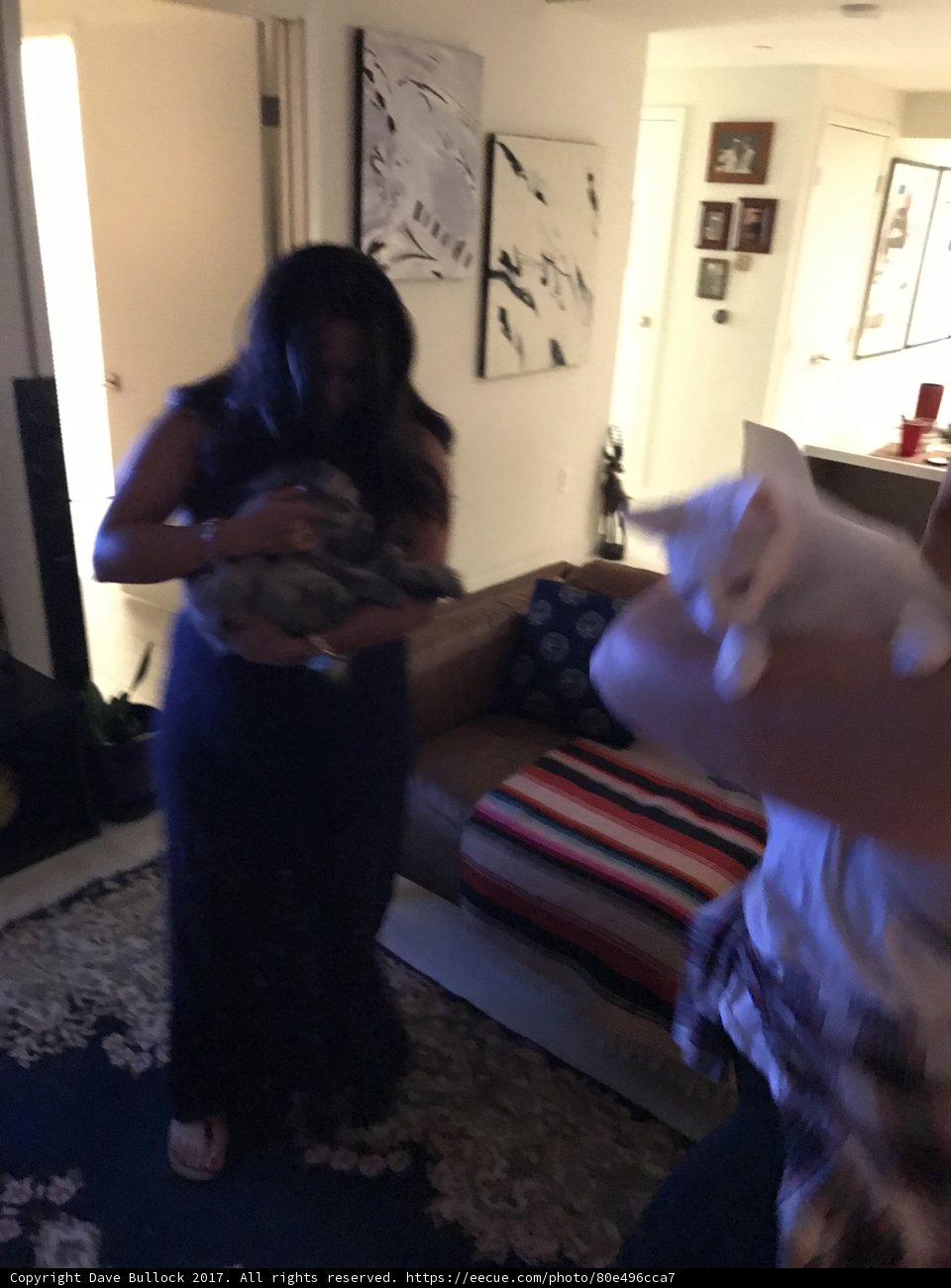 Home Sweet Home