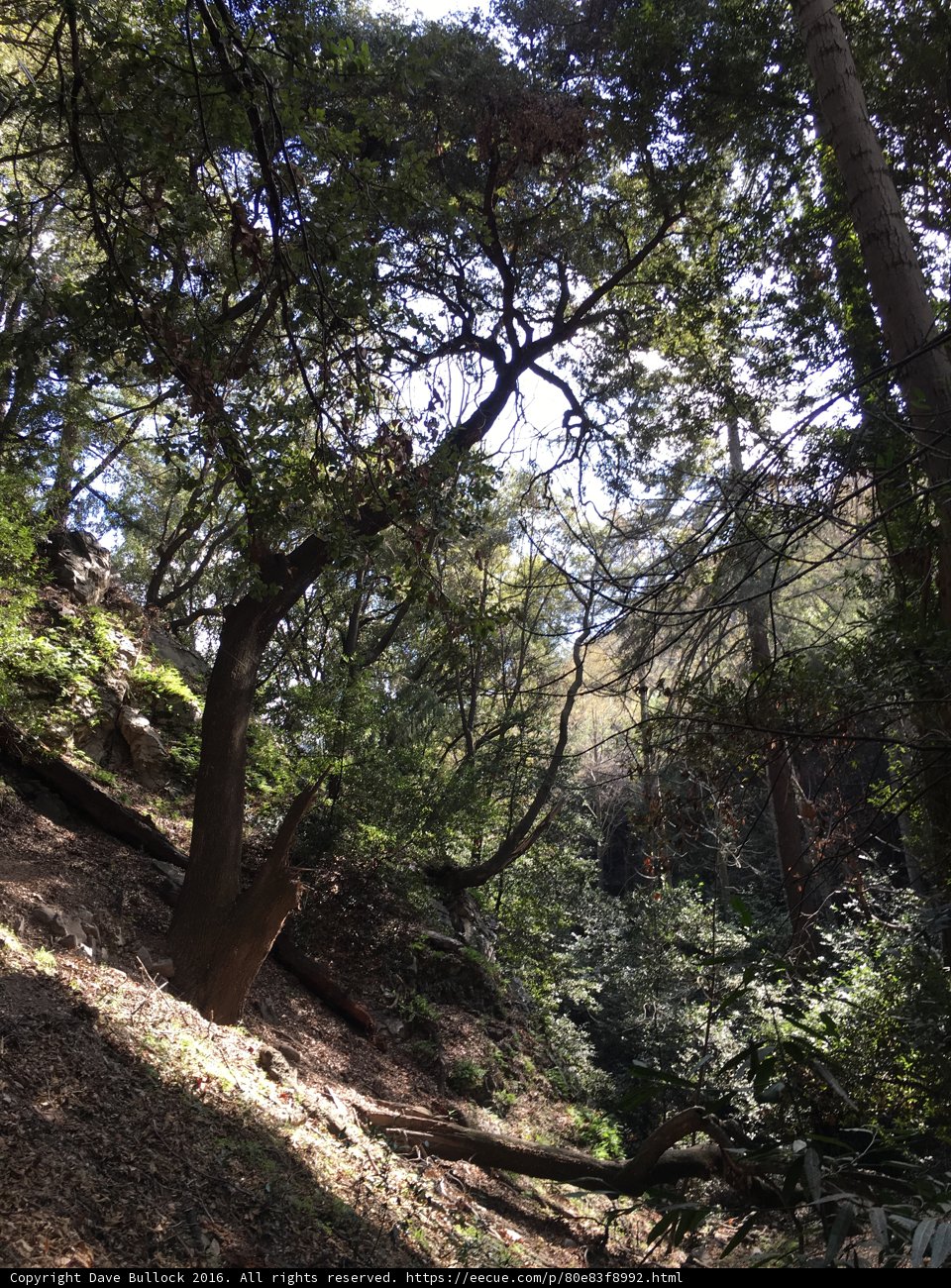 Nature's Haven
