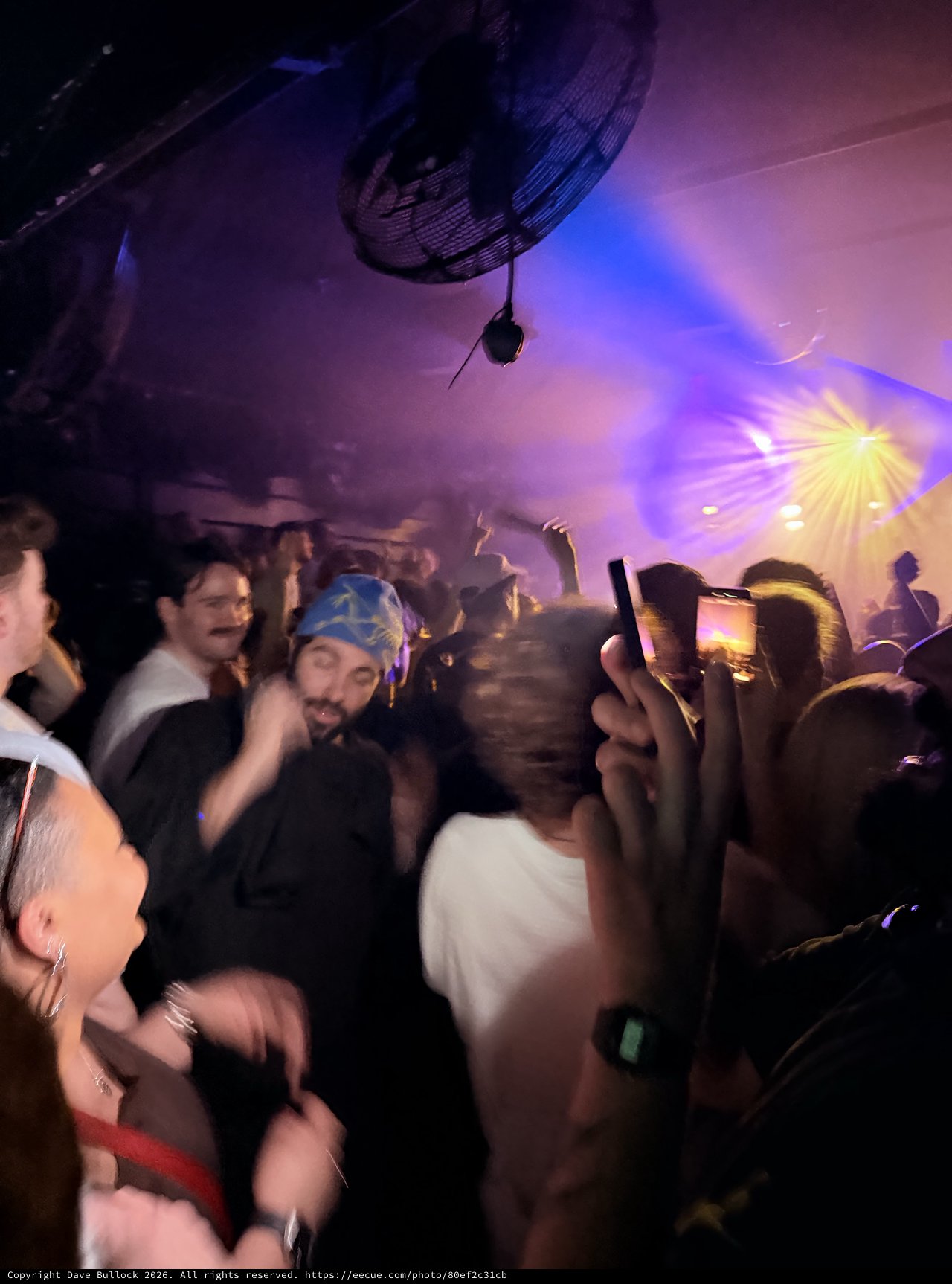 Vibrant Club Night Under Disco Ball Lights