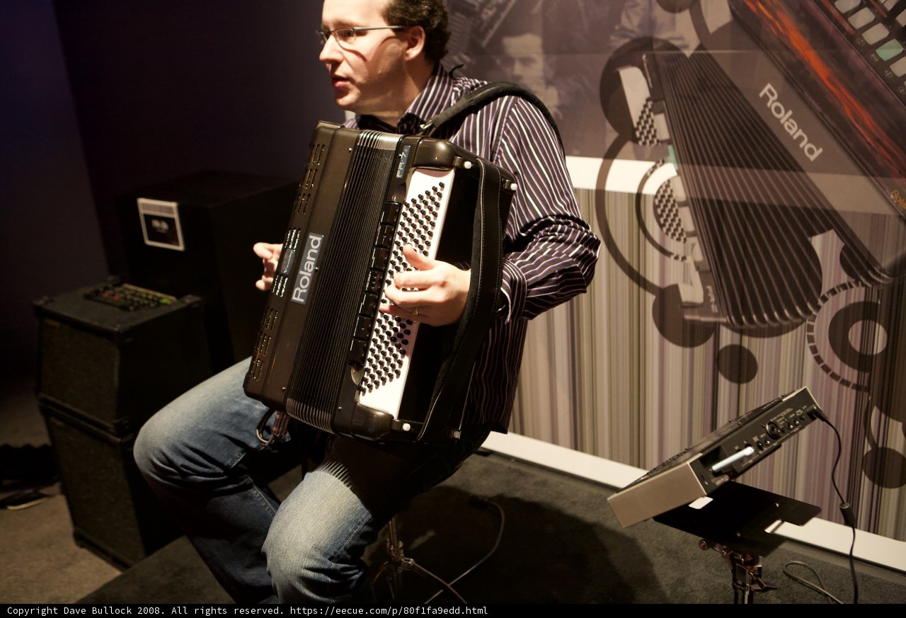 The Accordion Maestro