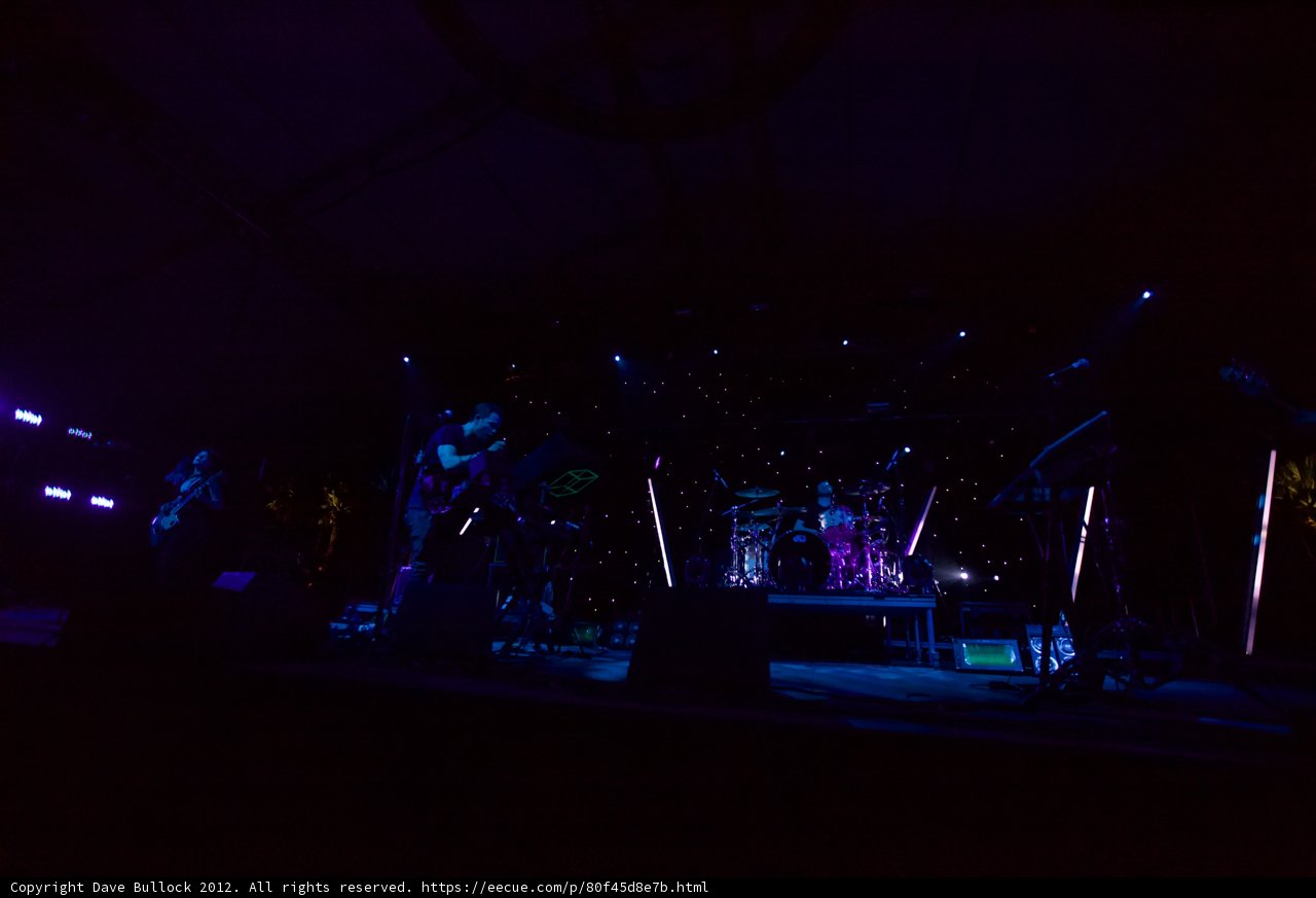 Purple Haze Performance