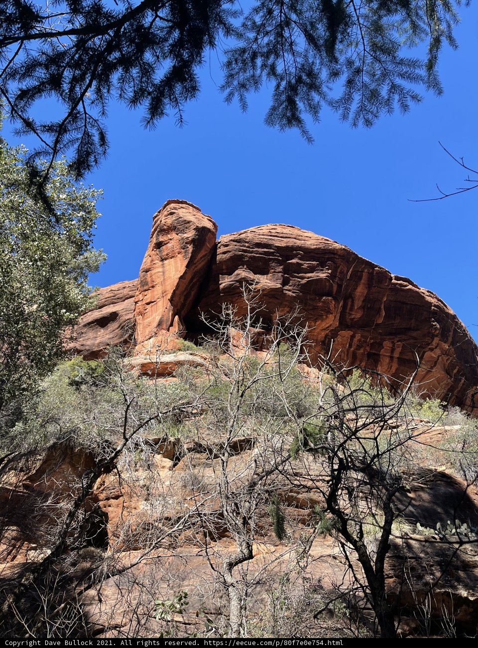 Majestic Rock Formation Amidst the Wilderness