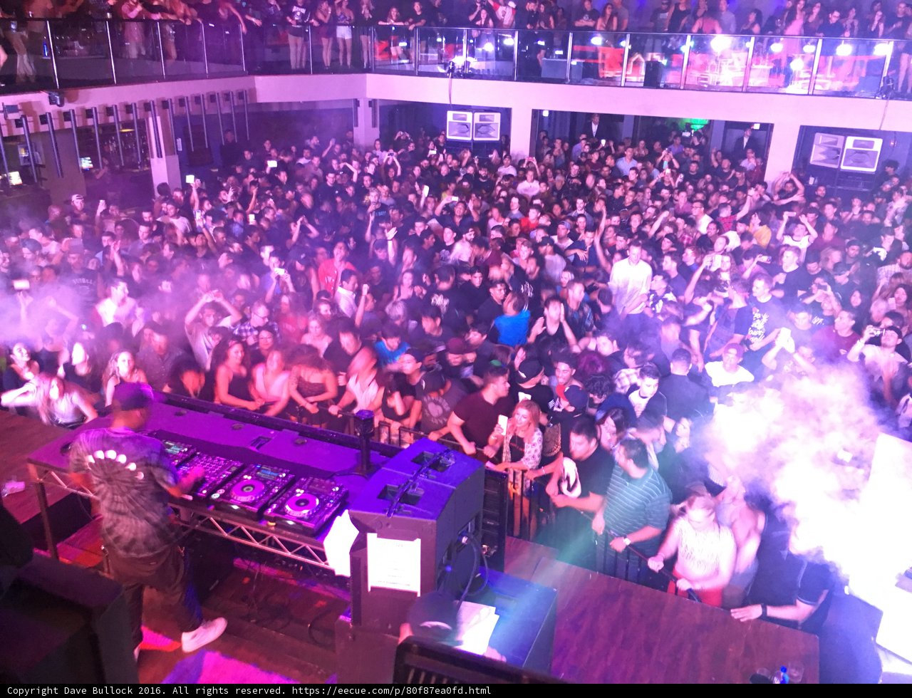 Nightlife Bliss
