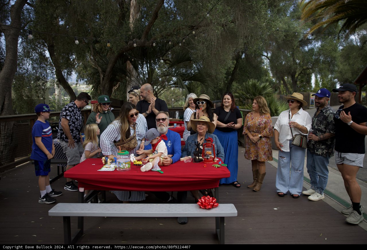 **Wesley's Joyful Jungle Birthday Bash**