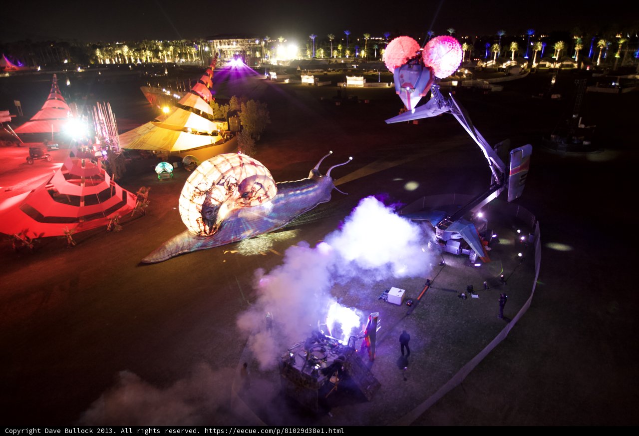 Night Circus