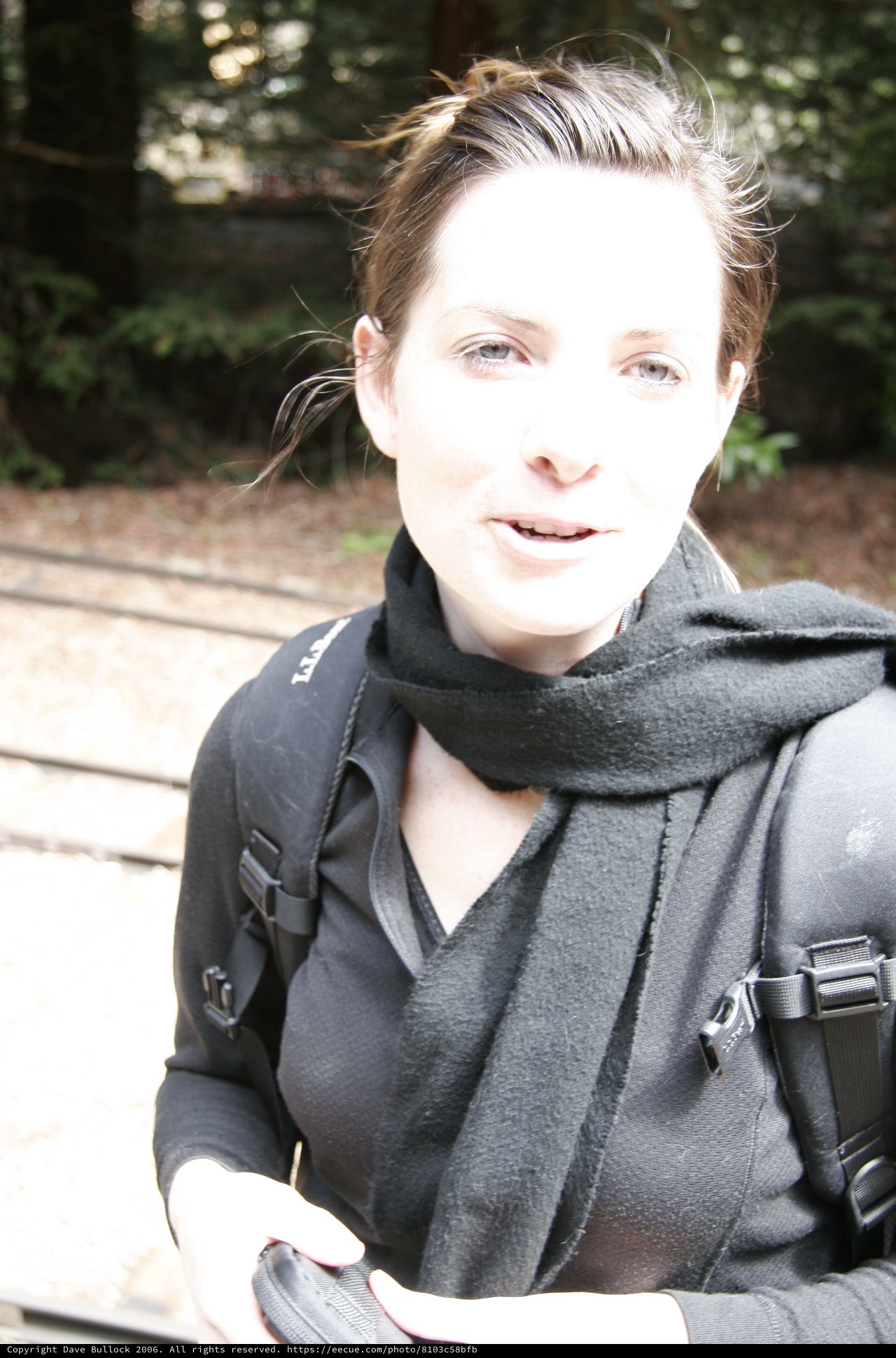 Woman Hiking Through Sunlit Redwood Forest Trail