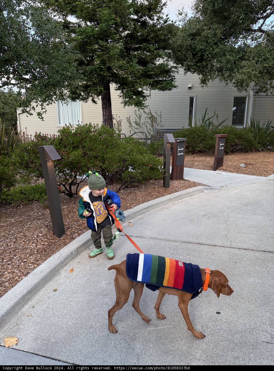 Strolling Through Carmel
