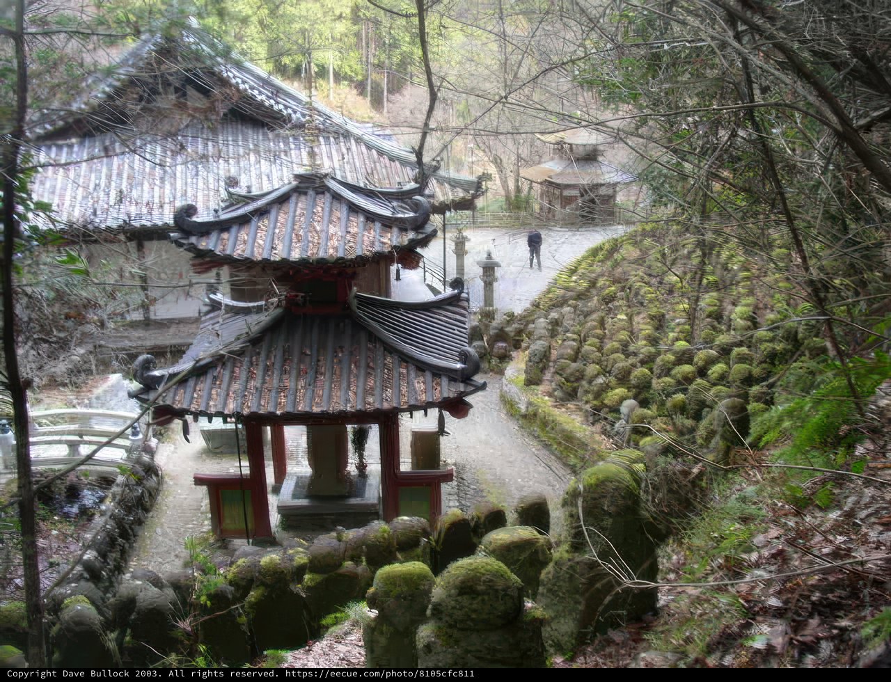 Pagoda in the Forest