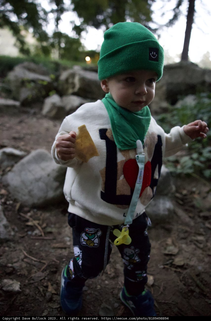 Wesley's Cozy Adventure on the Big Sur Trail