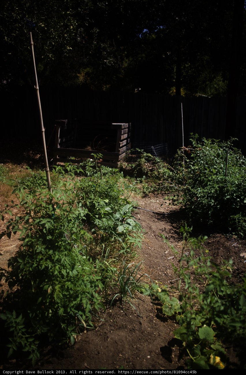 Serenity Garden