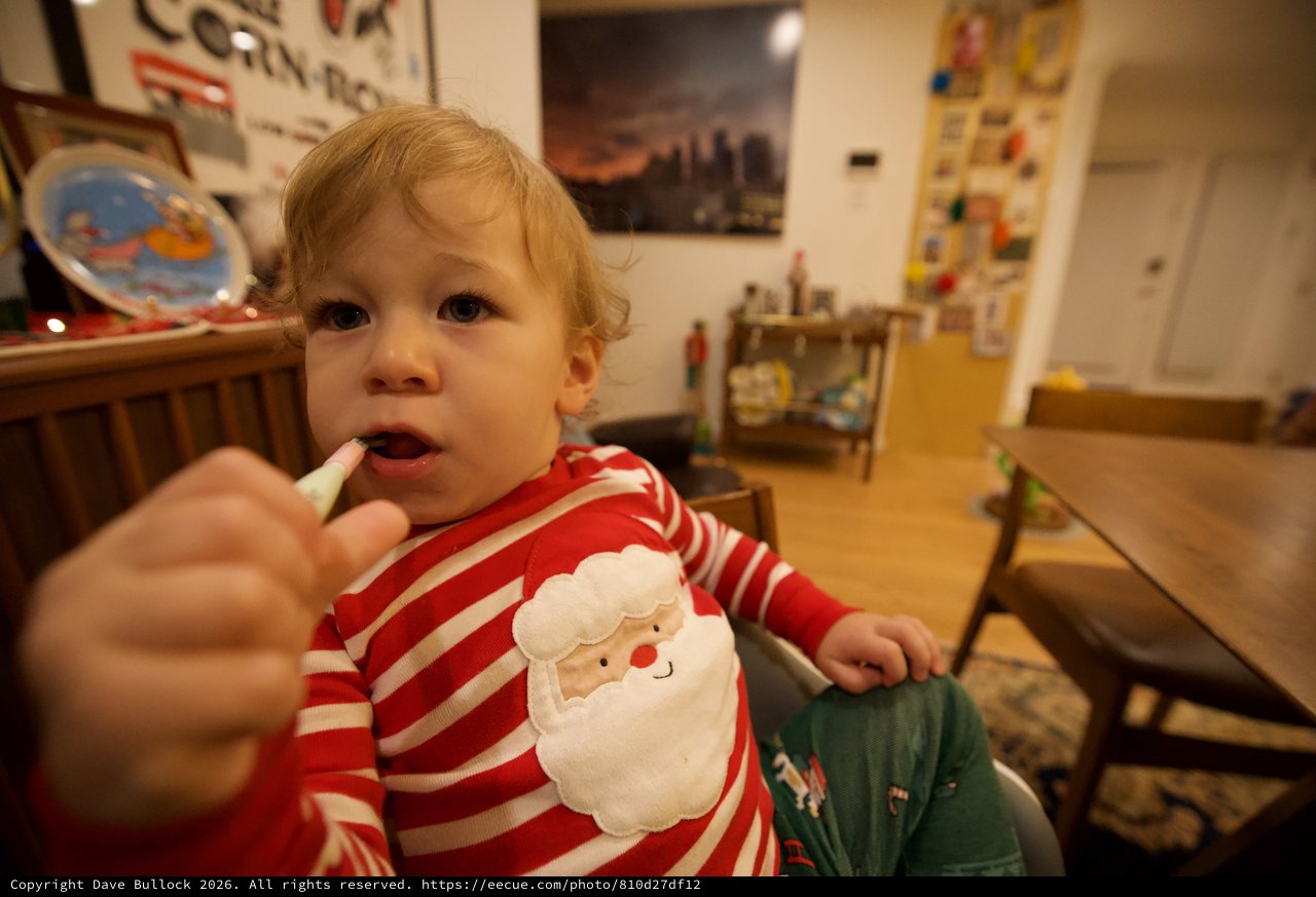 Toddler Being Fed During Holiday Season at Home