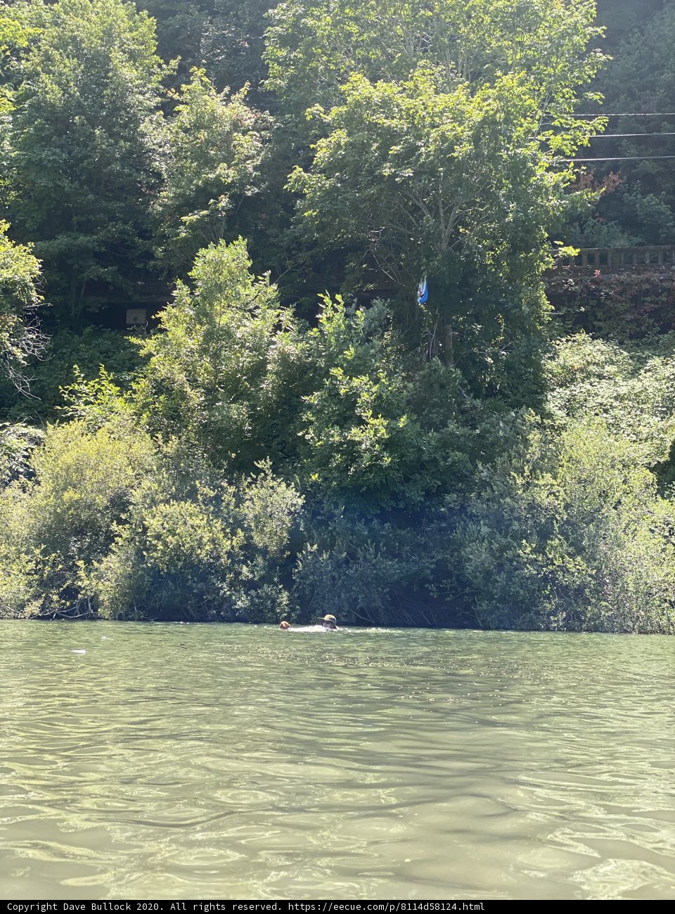 Floating Adventure
