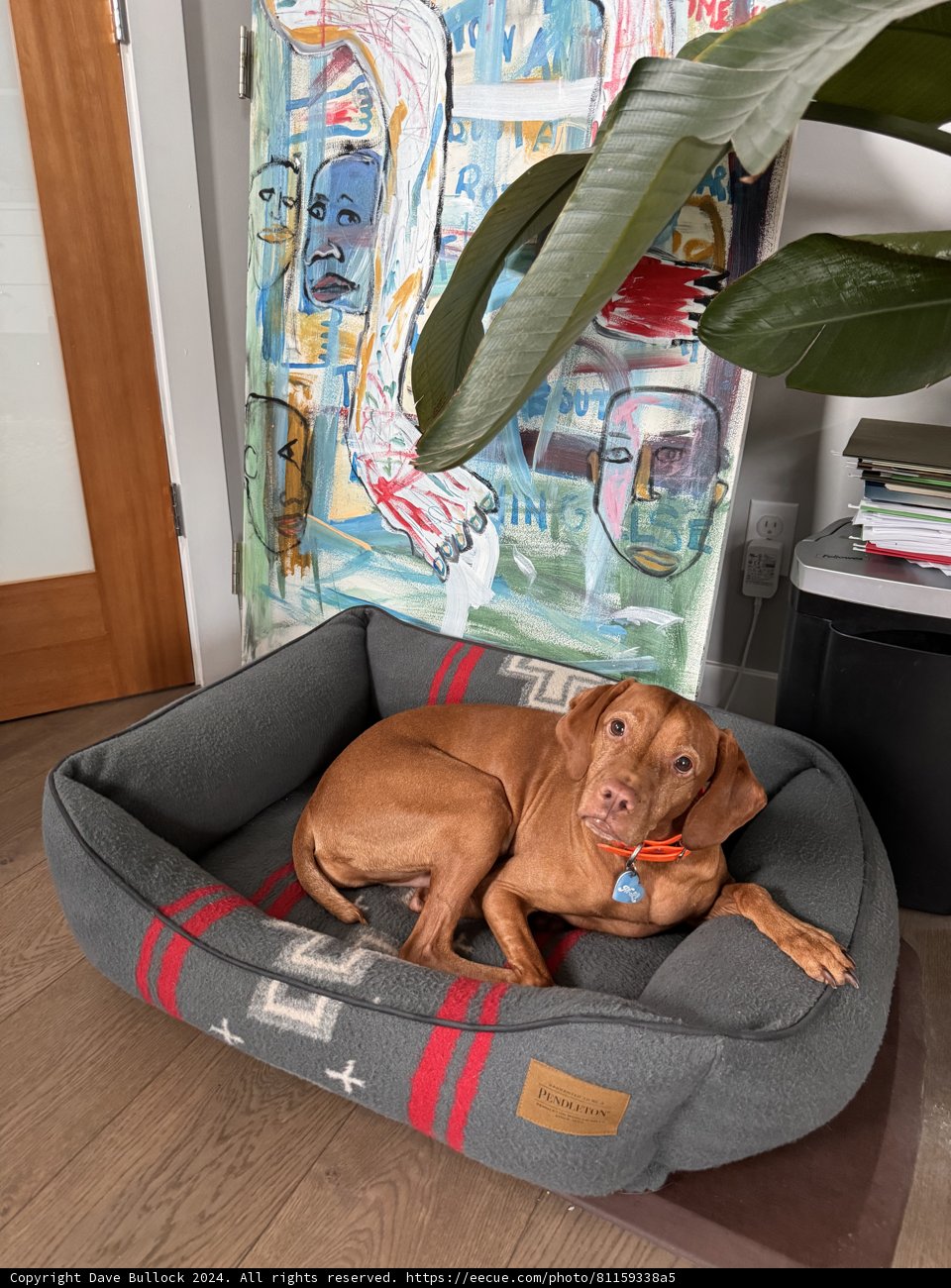 Art Appreciation in Repose
