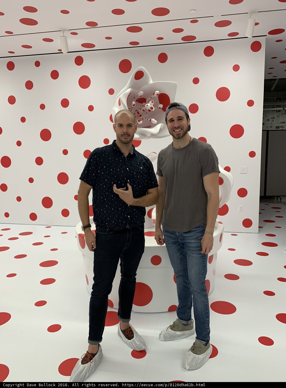 Polka Dot Poseurs