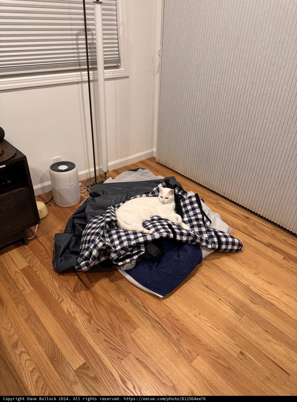 Cozy Corners in Walnut Creek