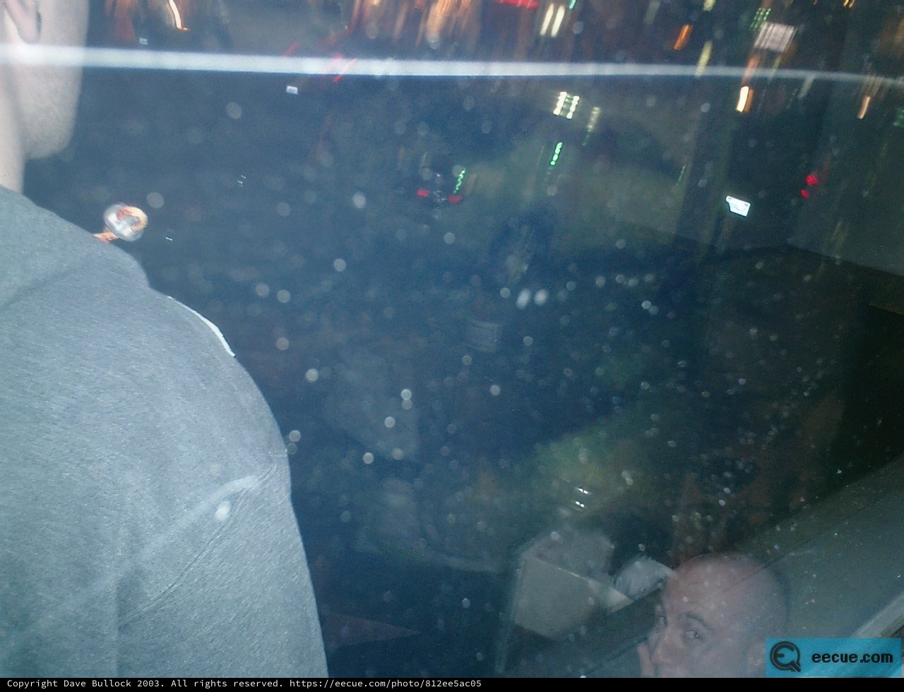 Nightlife by the Window