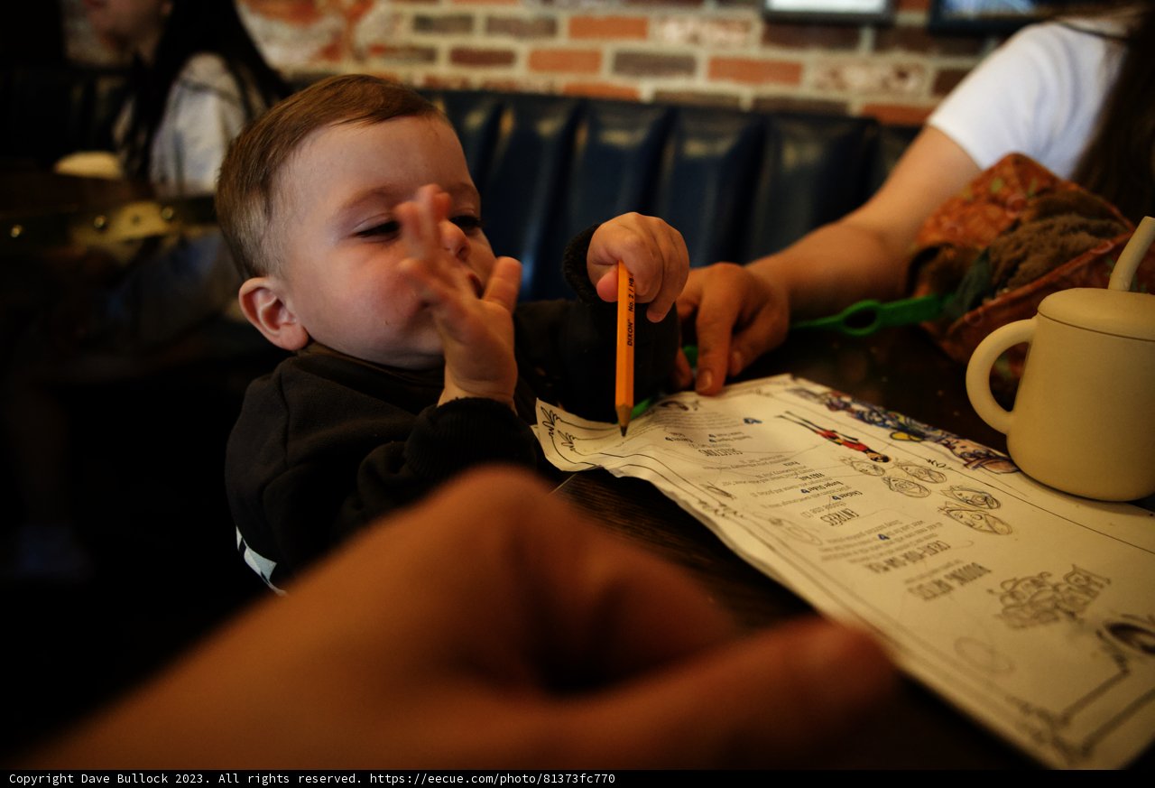 Delightful Dining at Disneyland