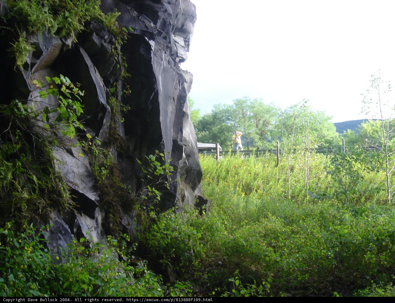 Cliff Face in the Wilderness