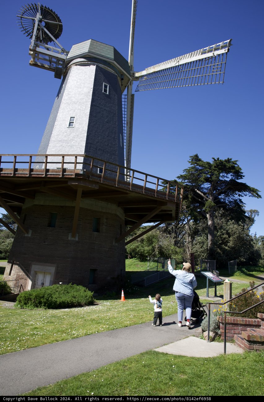 Basking in Nature's Grandeur: An Encounter with Golden Gate's Windmill