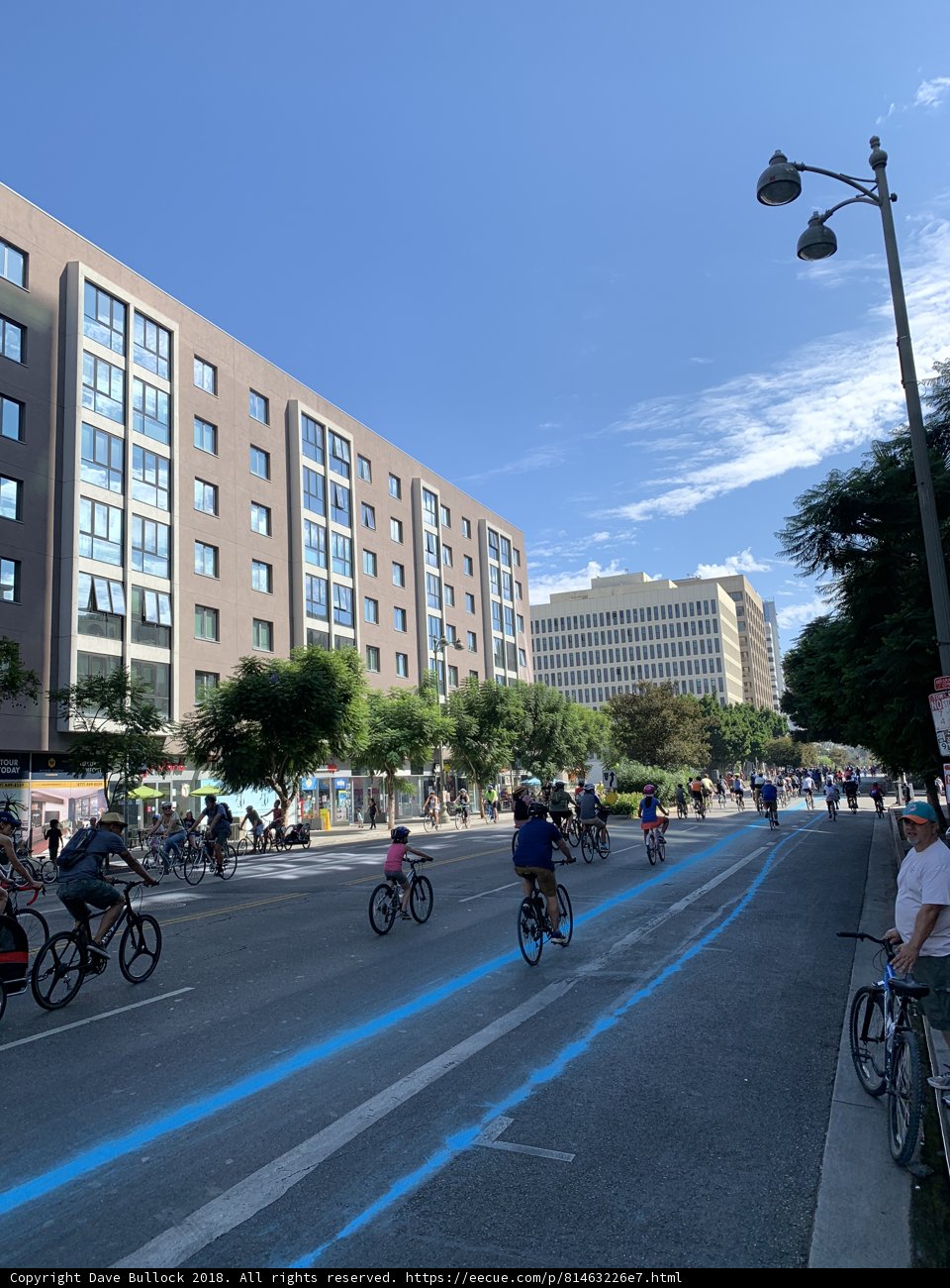 Urban Cycling