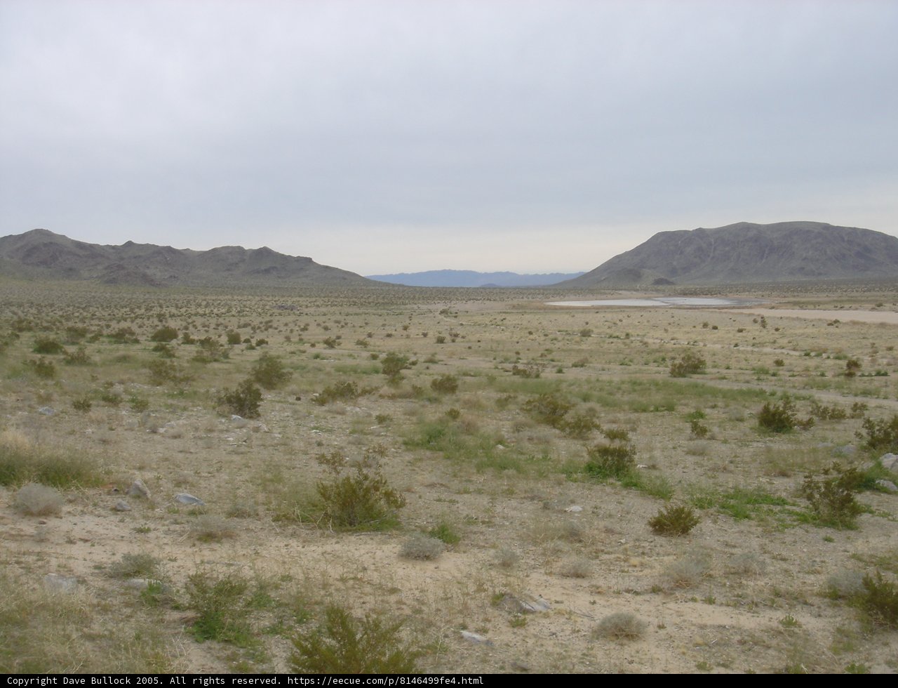 Serene Desert Landscape
