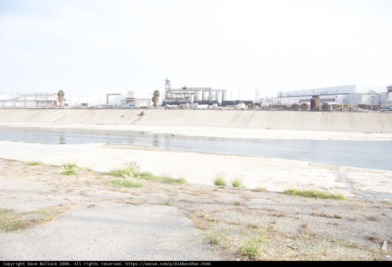 Serene Riverbank