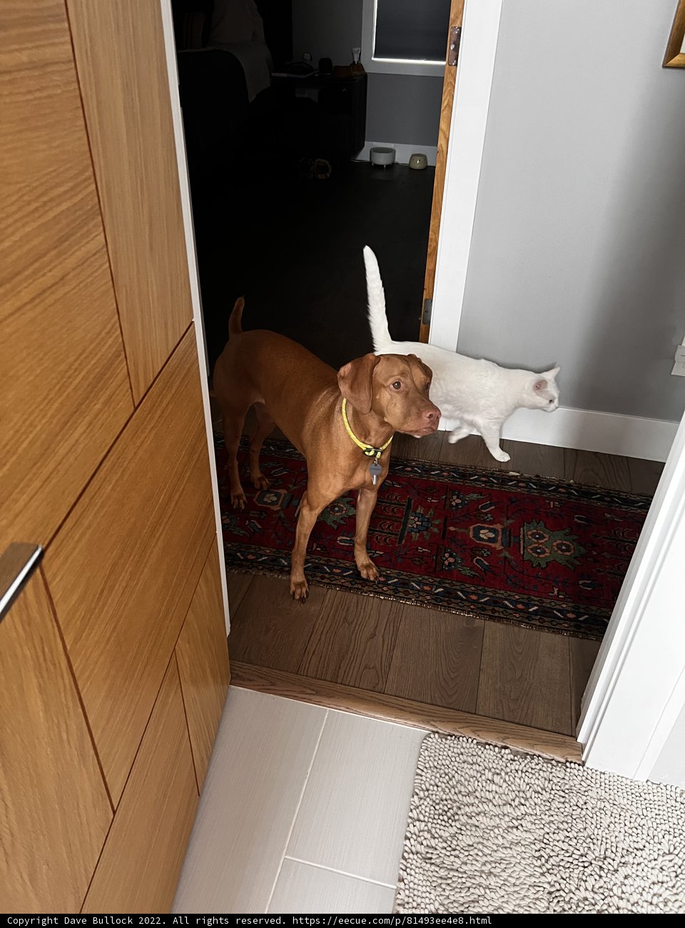 An Unlikely Duo at the Doorway