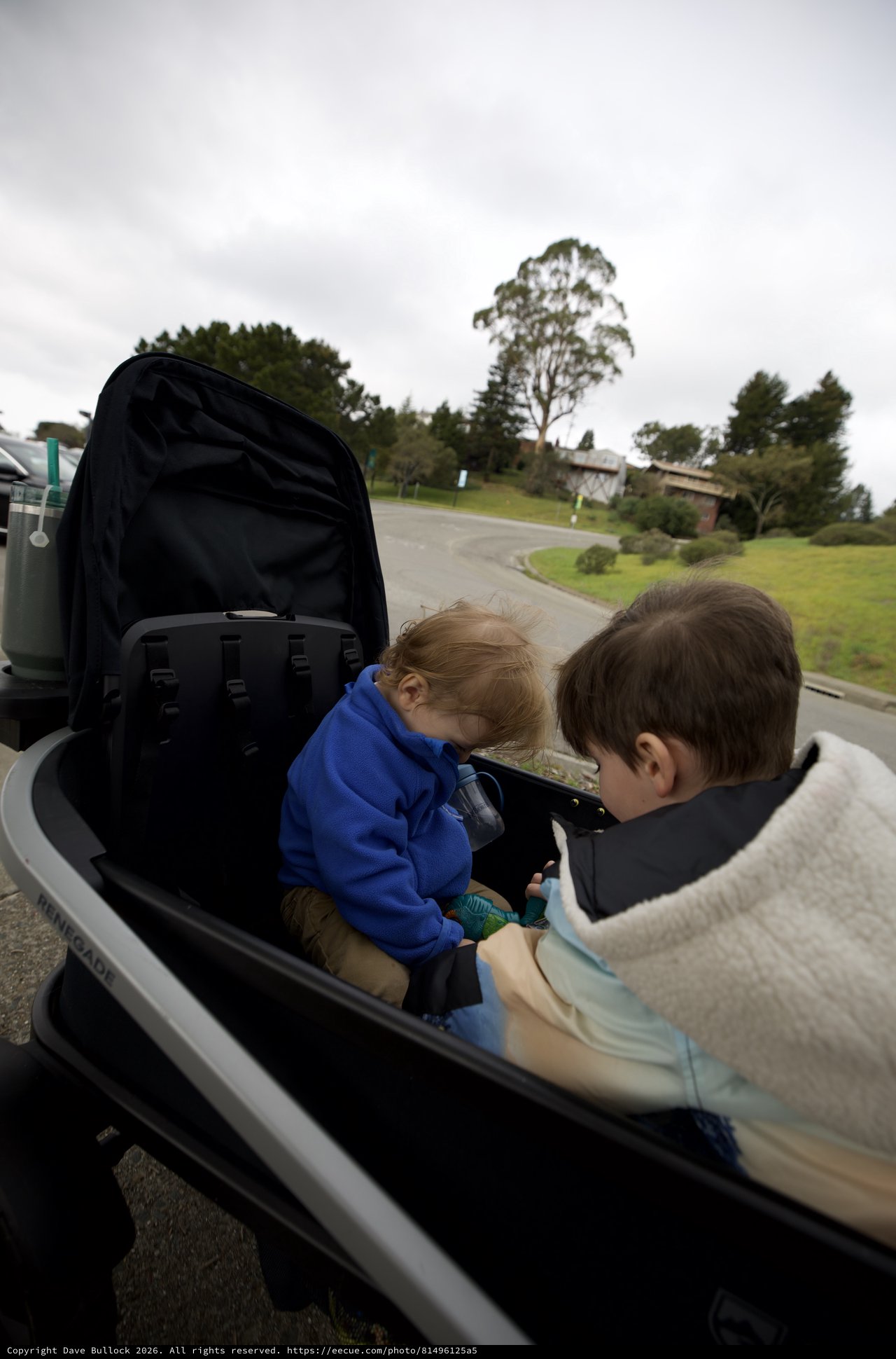Children Share Tablet During Suburban Golf Cart Ride