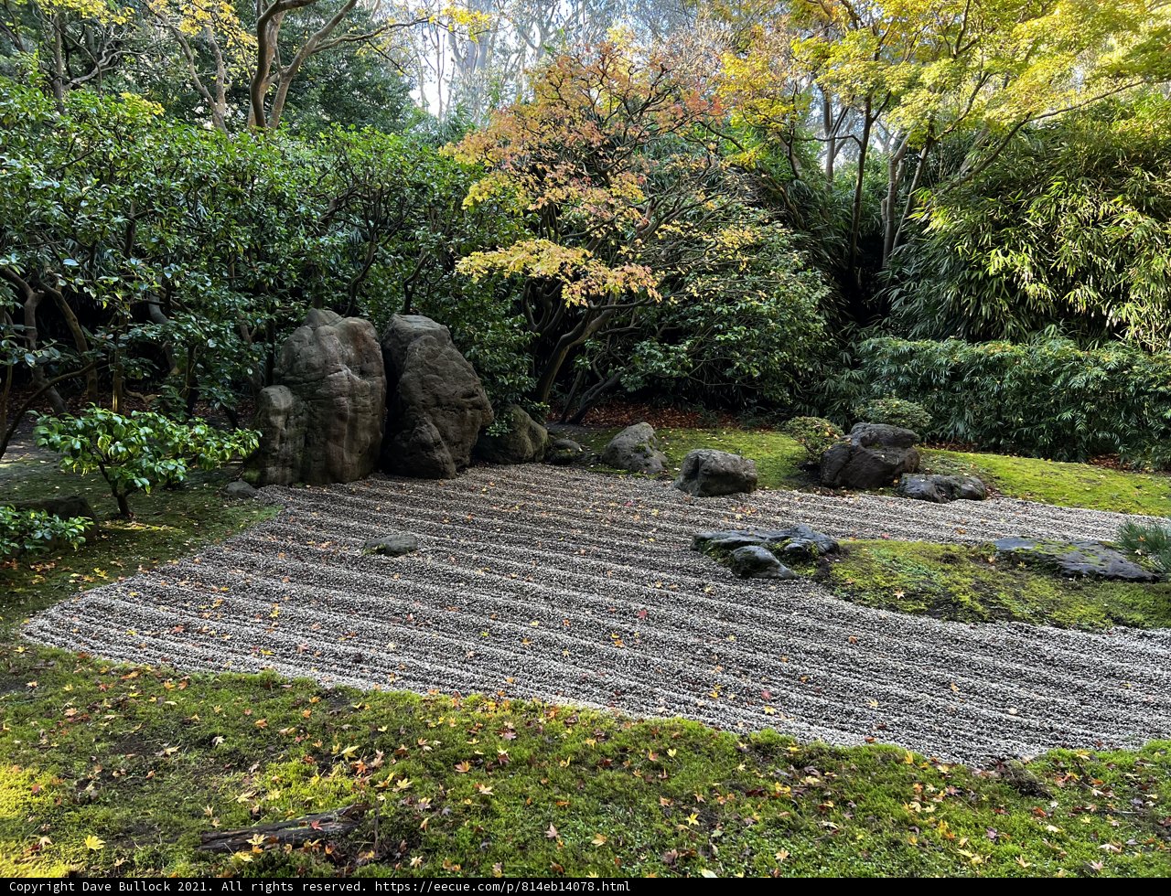 Serene Scene in a Japanese Garden