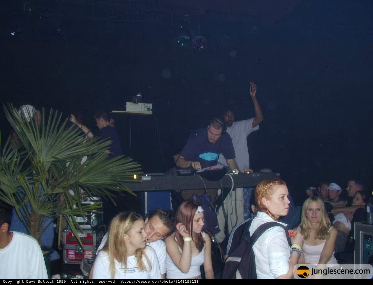 Dancing the Night Away at the Jungle Party