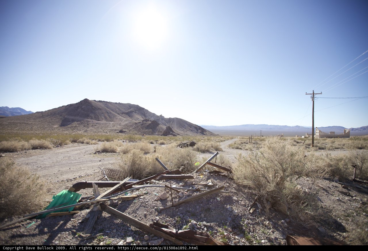 Lone Sentinel in the Desert