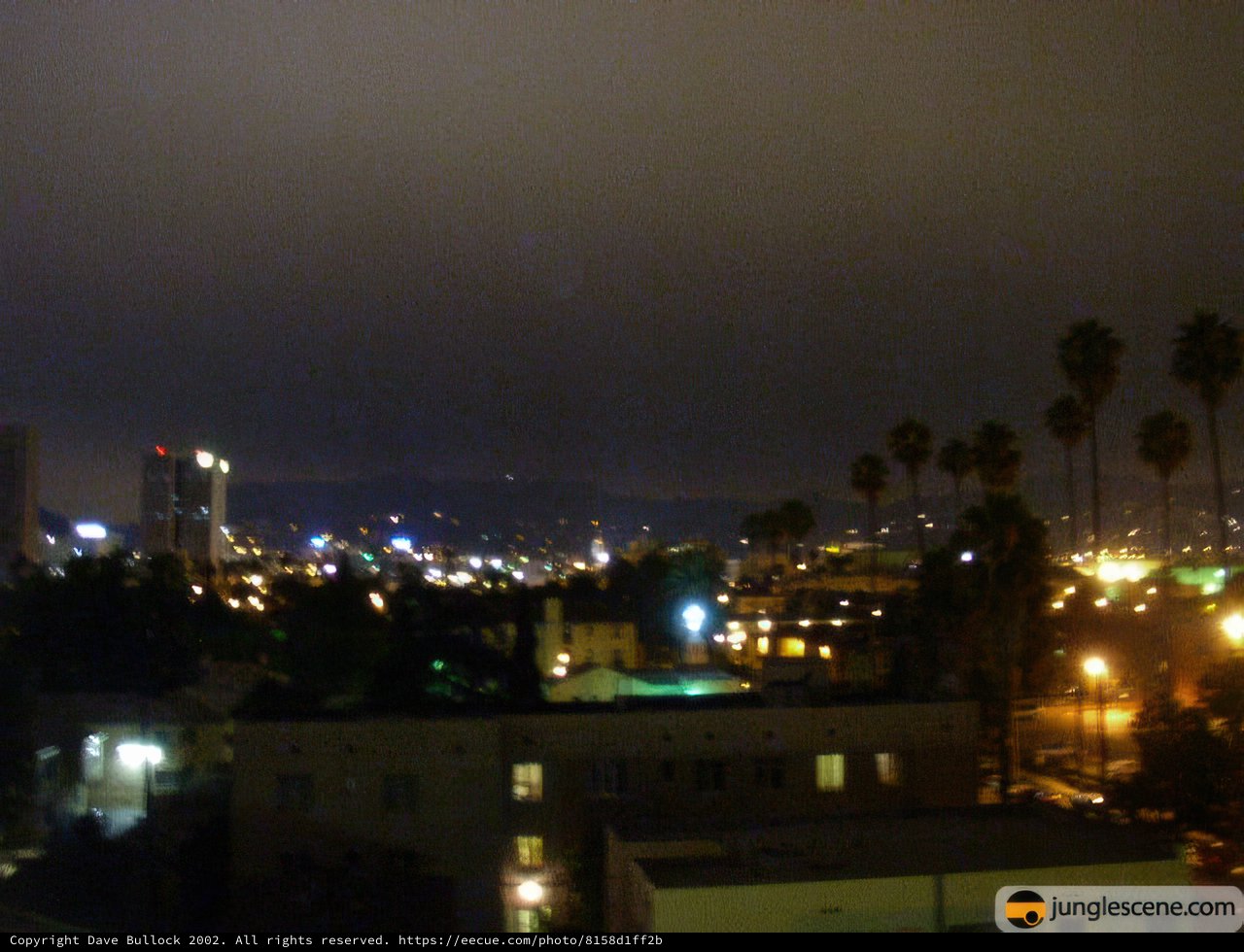 Nighttime Metropolis