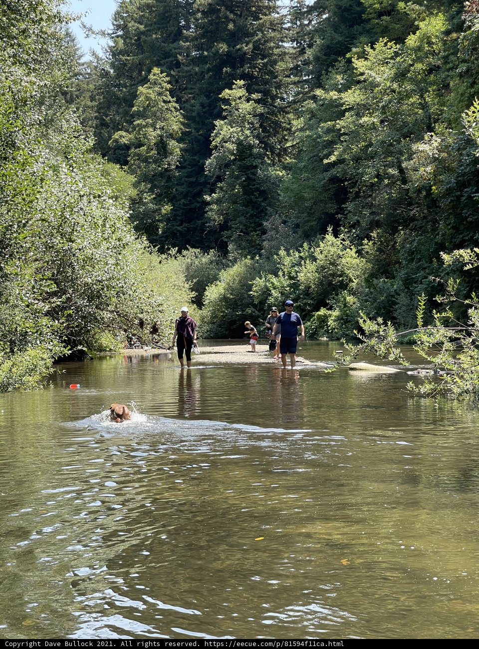 River Fun in Henry Cowell Redwoods State Park