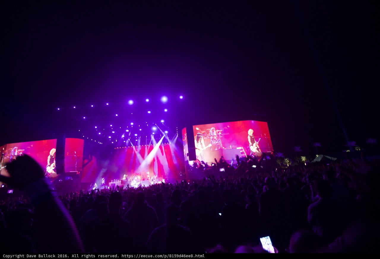 Rocking Out with the Crowd