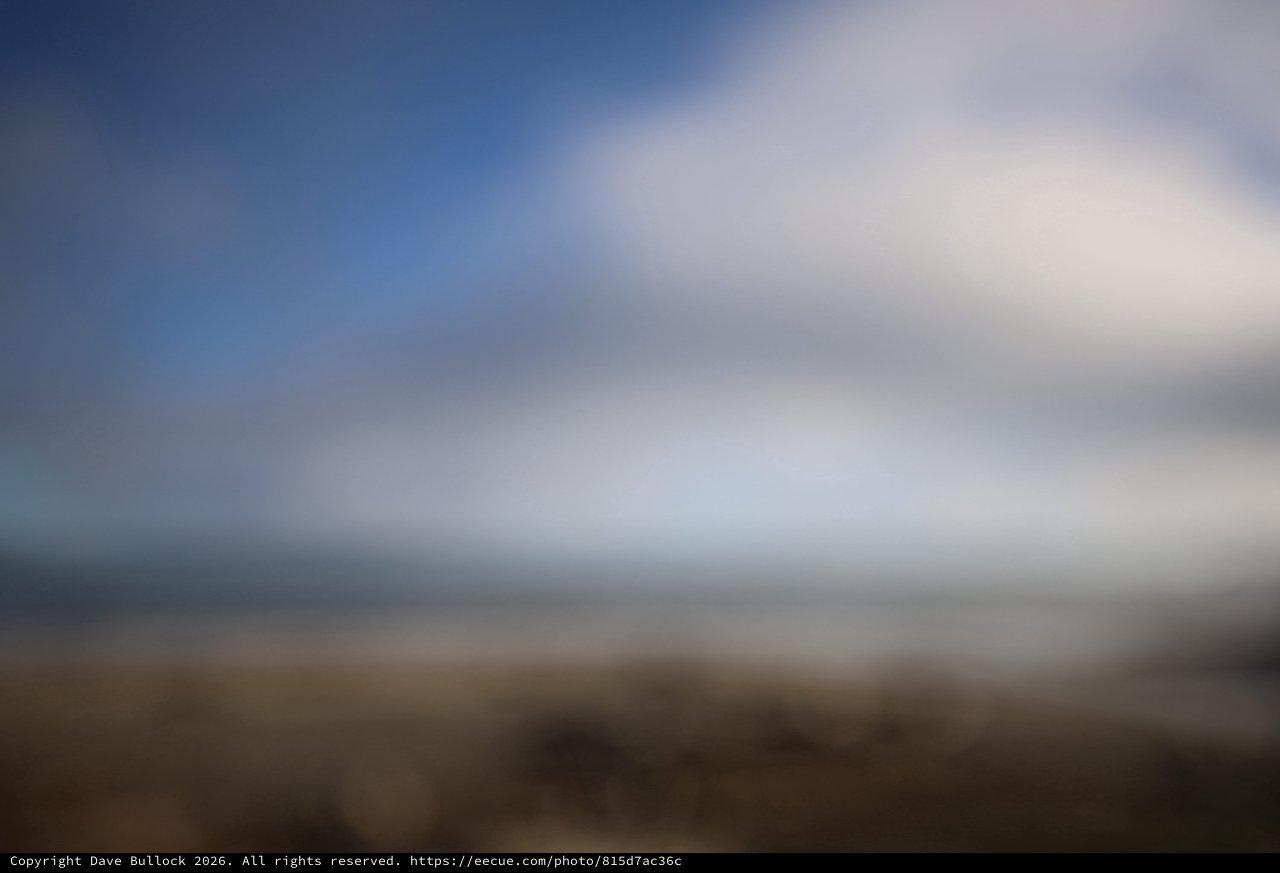 Misty Coastal Dawn at Drakes Beach Elephant Seal Colony