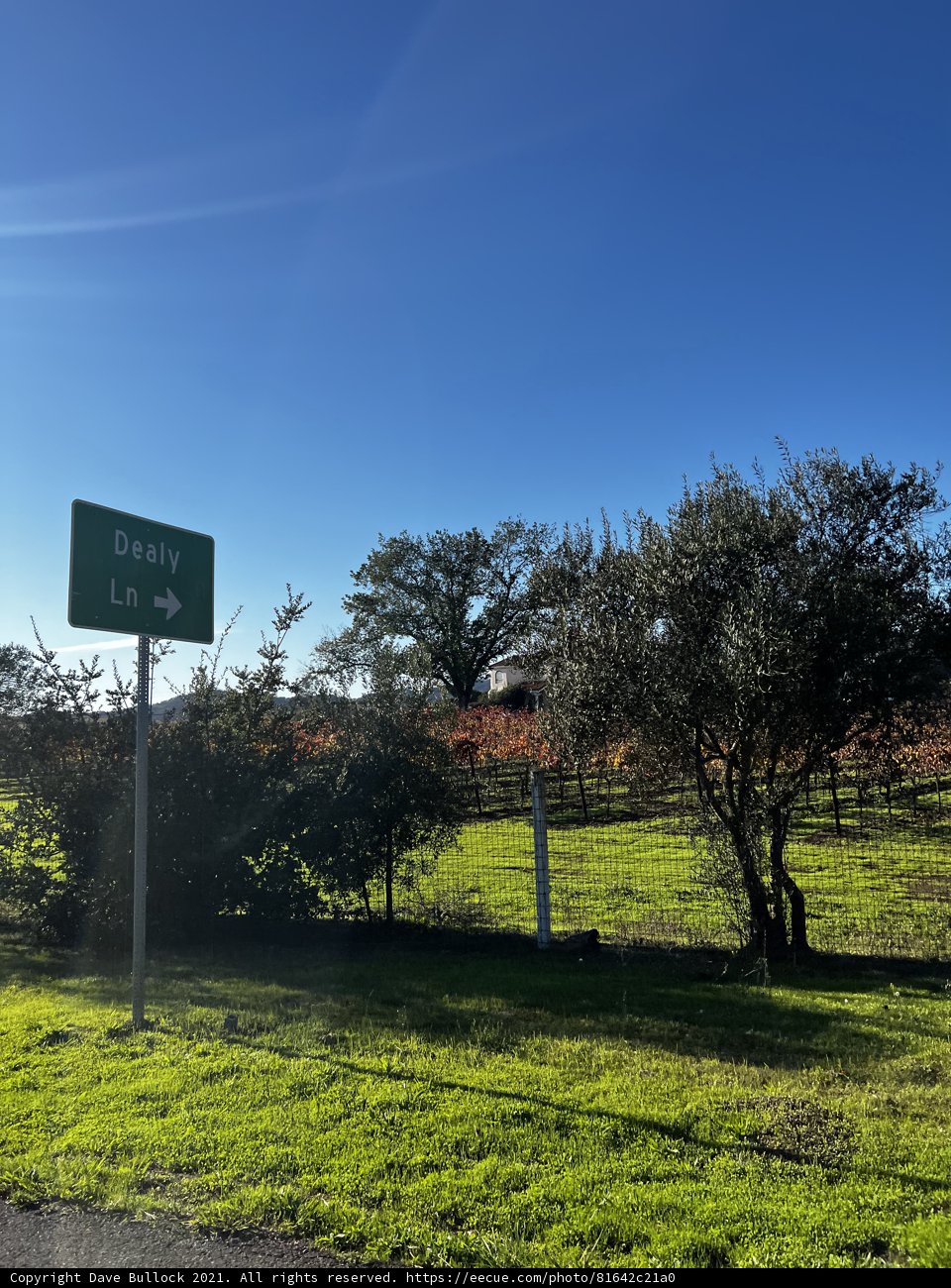 Green Road Sign amongst a Scenic Landscape