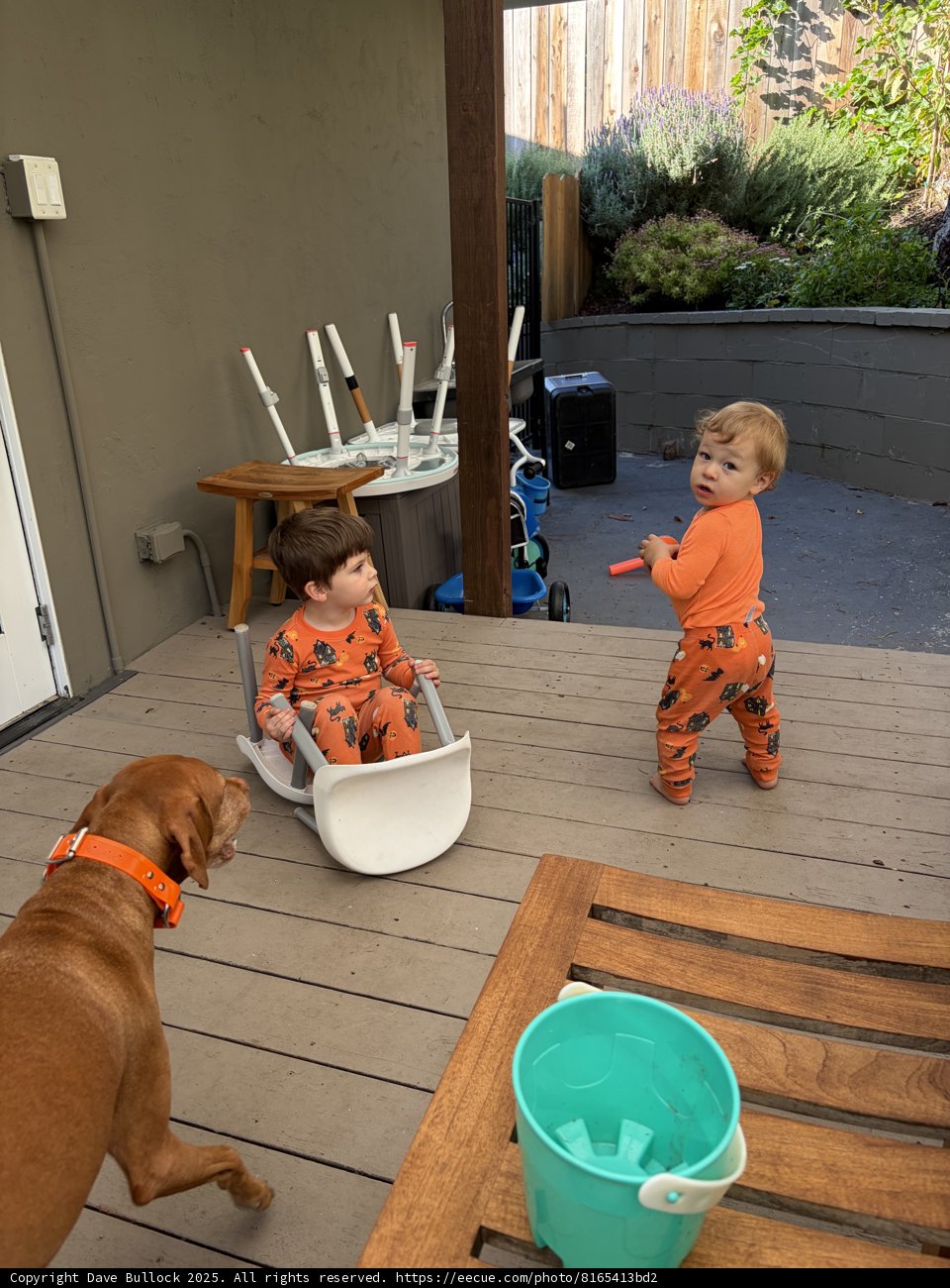 Morning Mischief on the Porch
