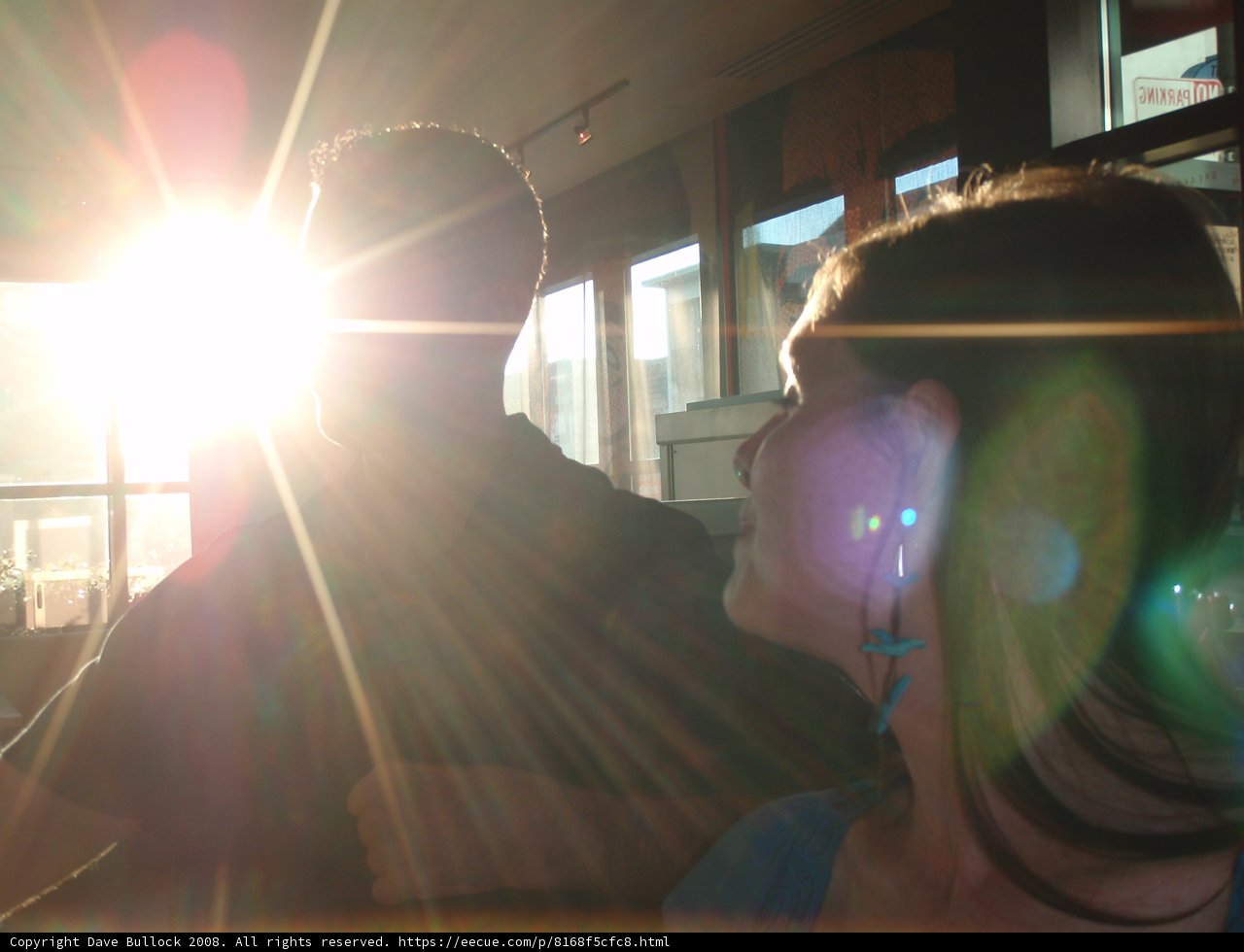 Sitting in the Sunlight