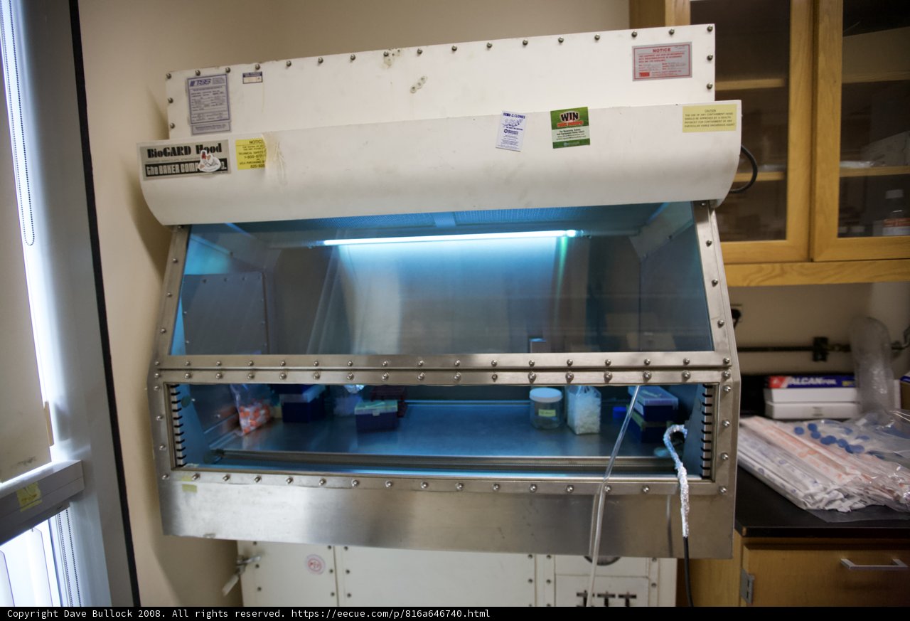 Inside UCLA's Nanomachine Lab