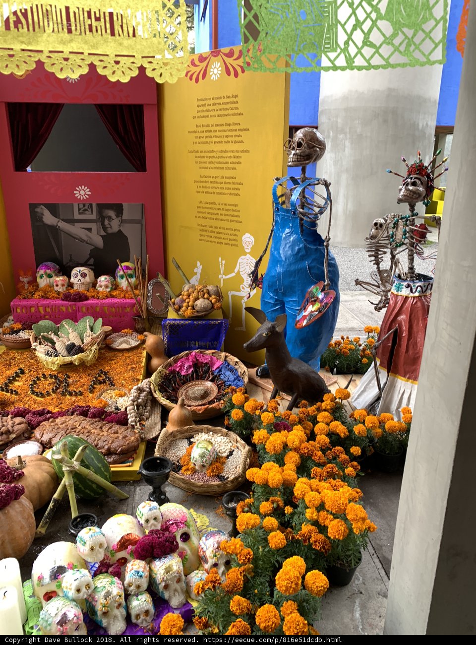 A Floral and Artistic Museum Display