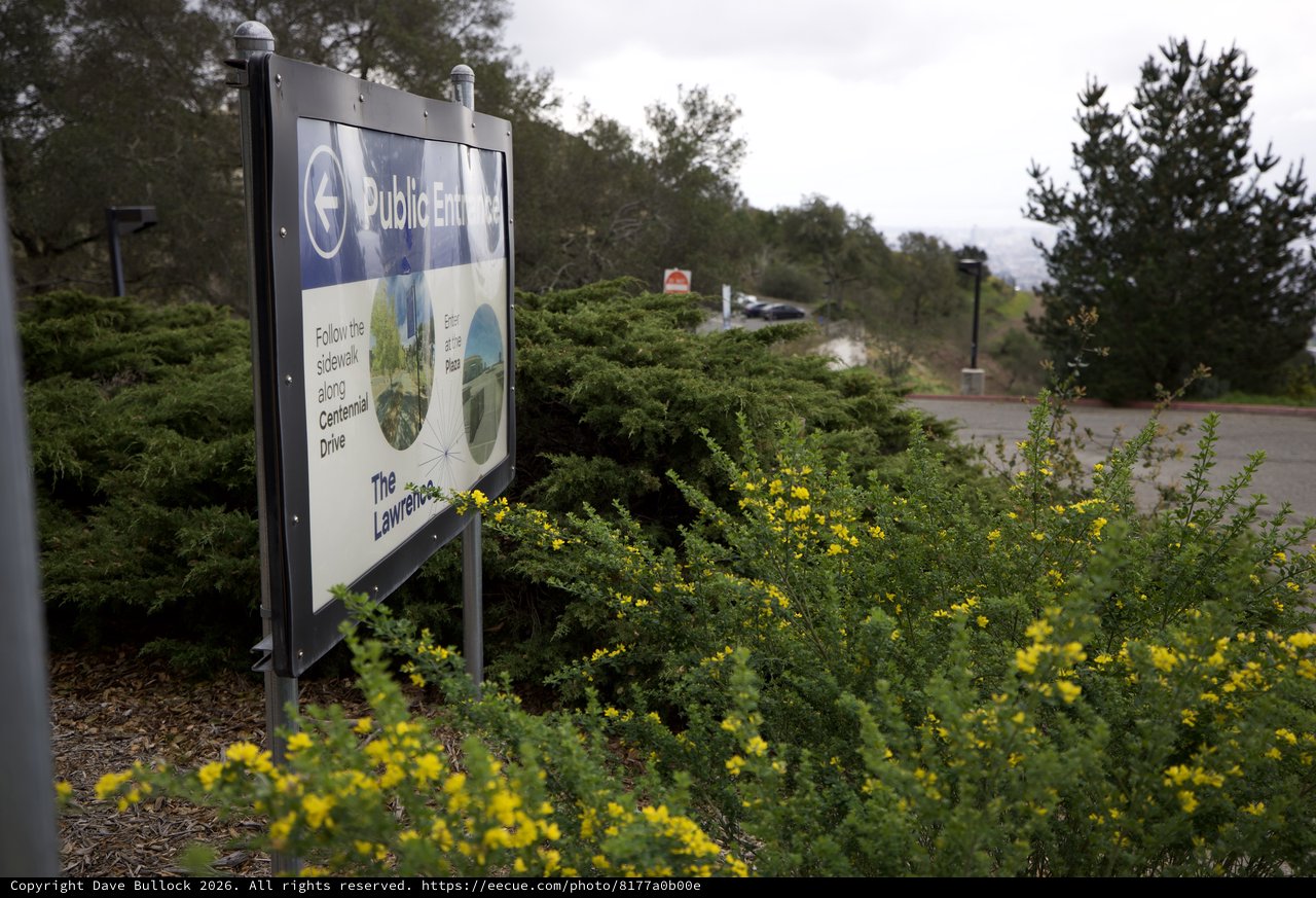 Public Entrance Sign Along Centennial Drive with Yellow Wildflowers