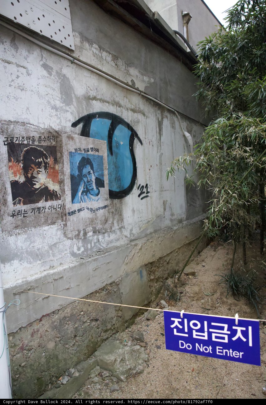 Artistic Splendor in Seoul: Serene Wedding Mural
