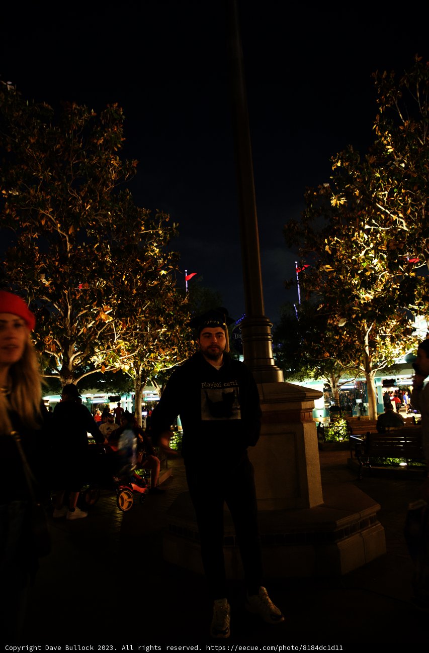 Enchanted Nighttime Stroll in Disneyland