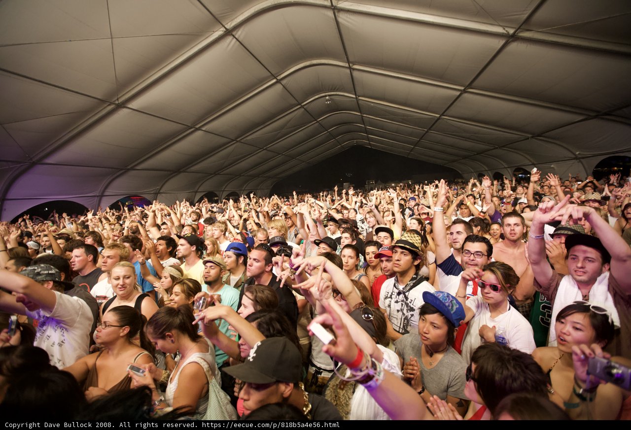 Coachella Crowd Goes Wild