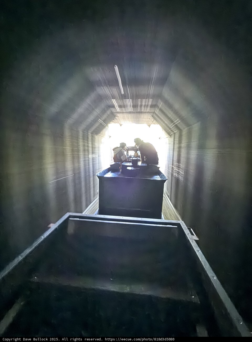 Journey Through the Light