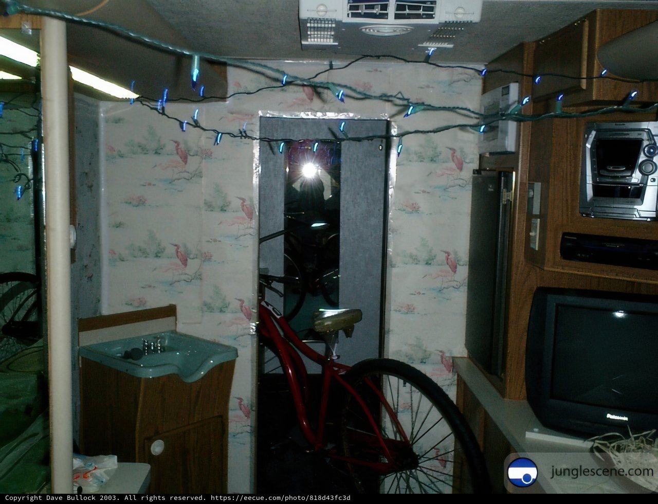 Bicycle in the Entertainment Center